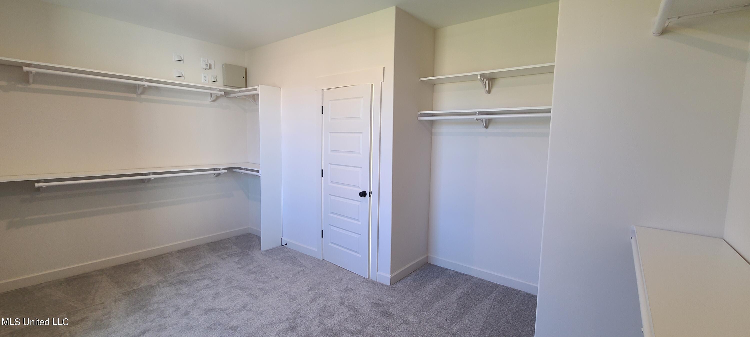 393 Ruskin Loop Hernando, MS 38632 - Photo 18 of 29 Primary Closet