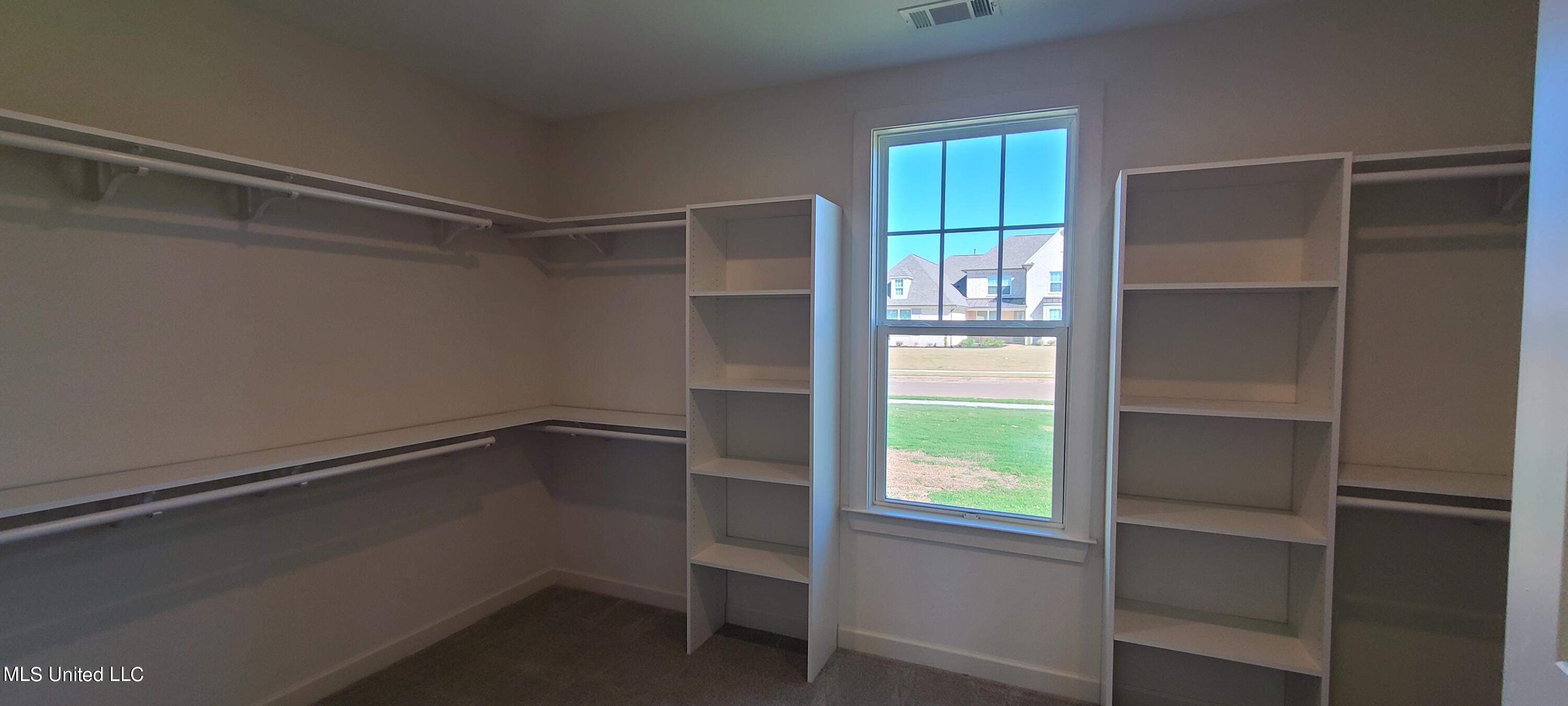 393 Ruskin Loop Hernando, MS 38632 - Photo 19 of 29 Primary Closet