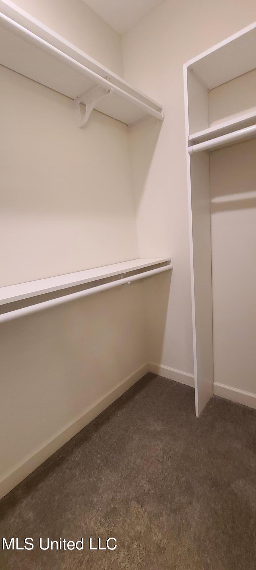 393 Ruskin Loop Hernando, MS 38632 - Photo 23 of 29 Walk-In Closet