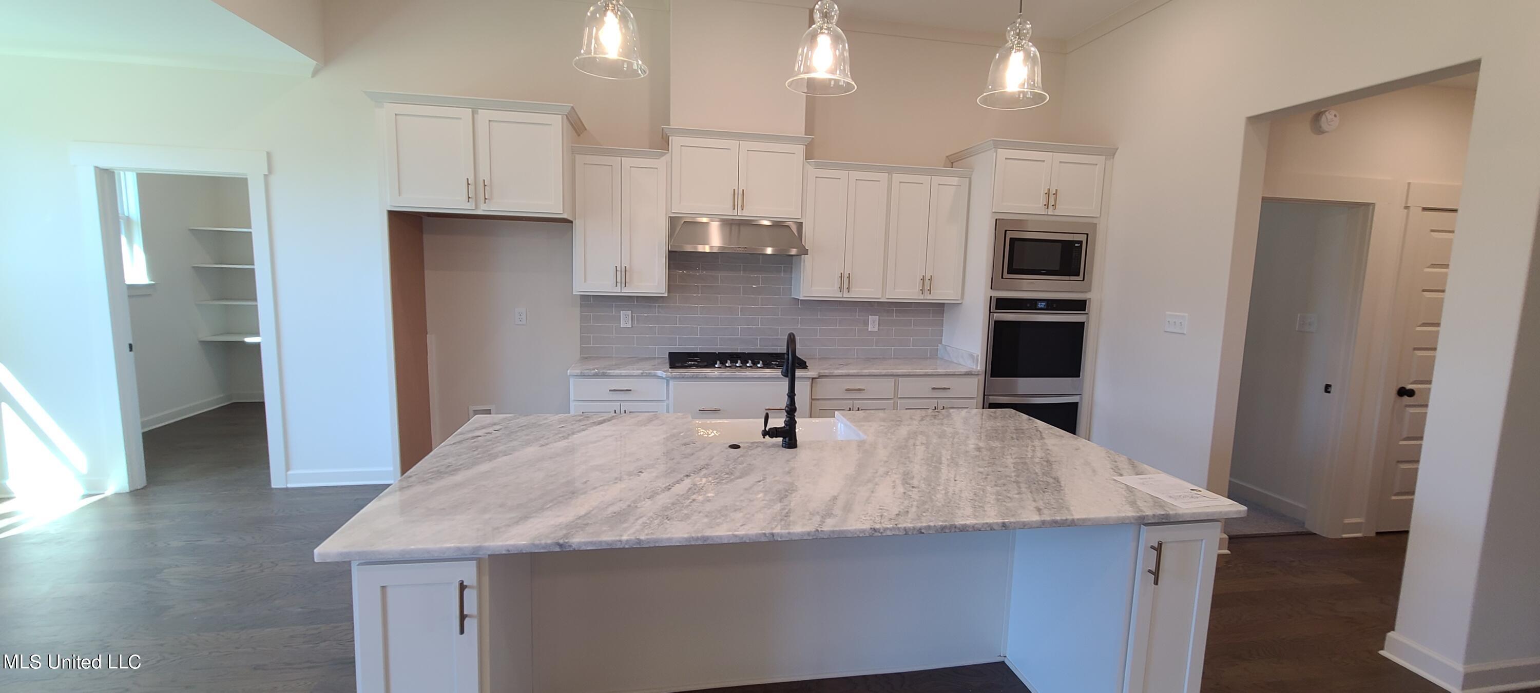 393 Ruskin Loop Hernando, MS 38632 - Photo 7 of 29 Kitchen