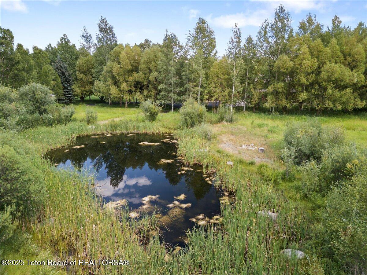 3932 Linn Ranch Road Wilson, WY 83014 - Photo 73 of 78 Pond on Property
