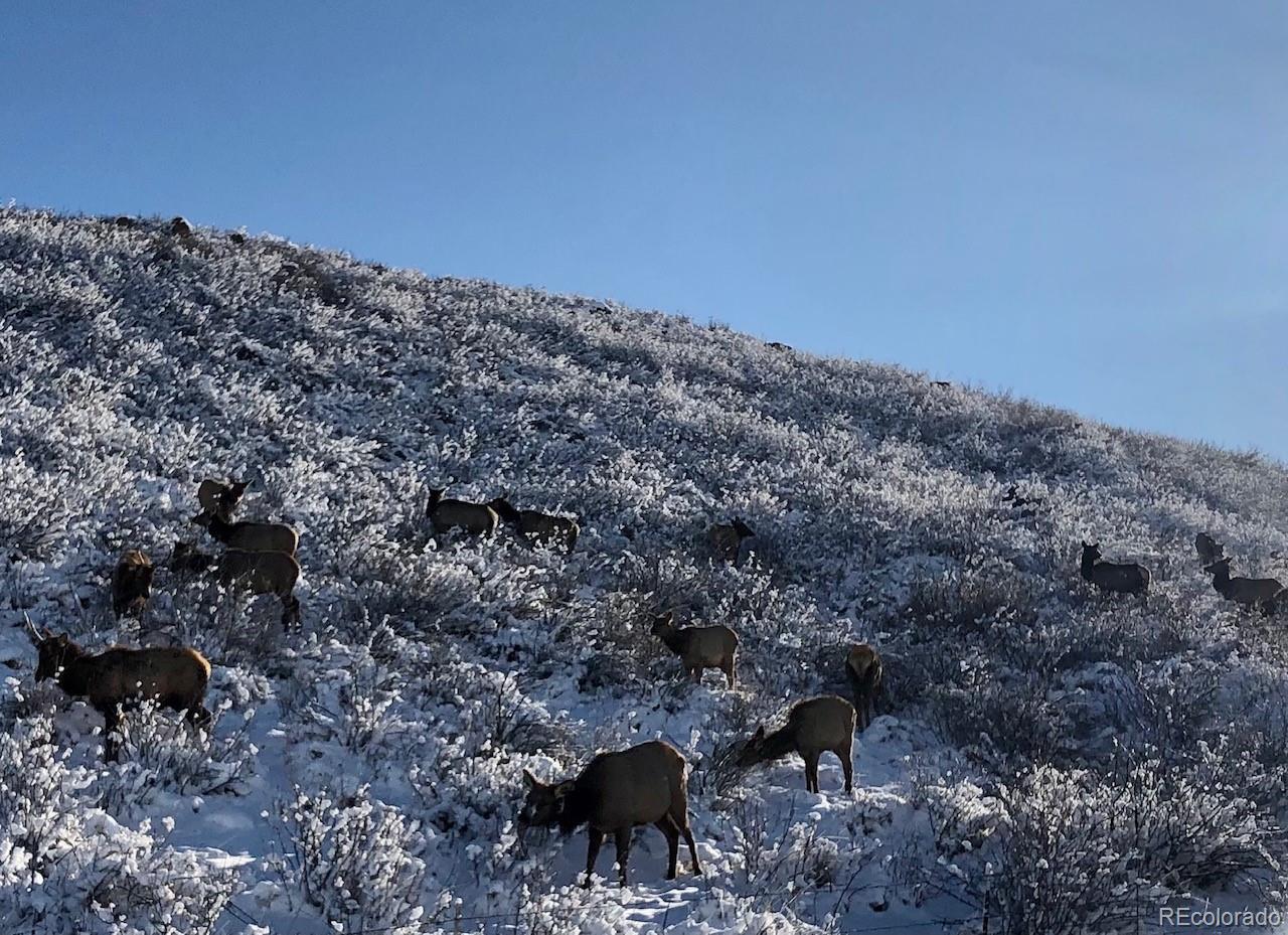 822 Rabbit Run Drive Golden, CO 80401 - Photo 33 of 34