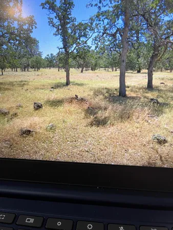 a view of yard covered with snow