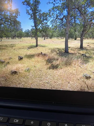a view of yard covered with snow