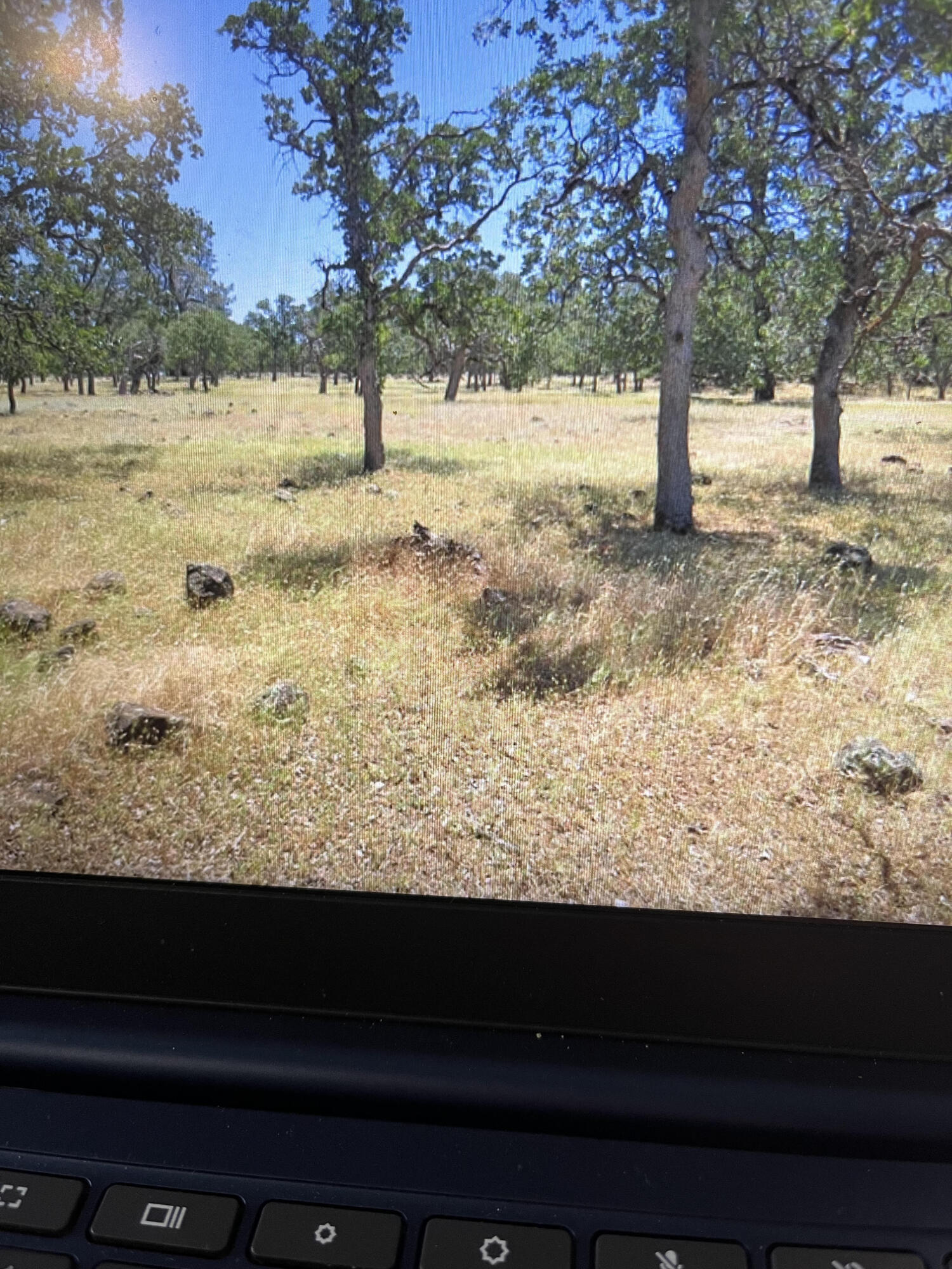 a view of yard covered with snow