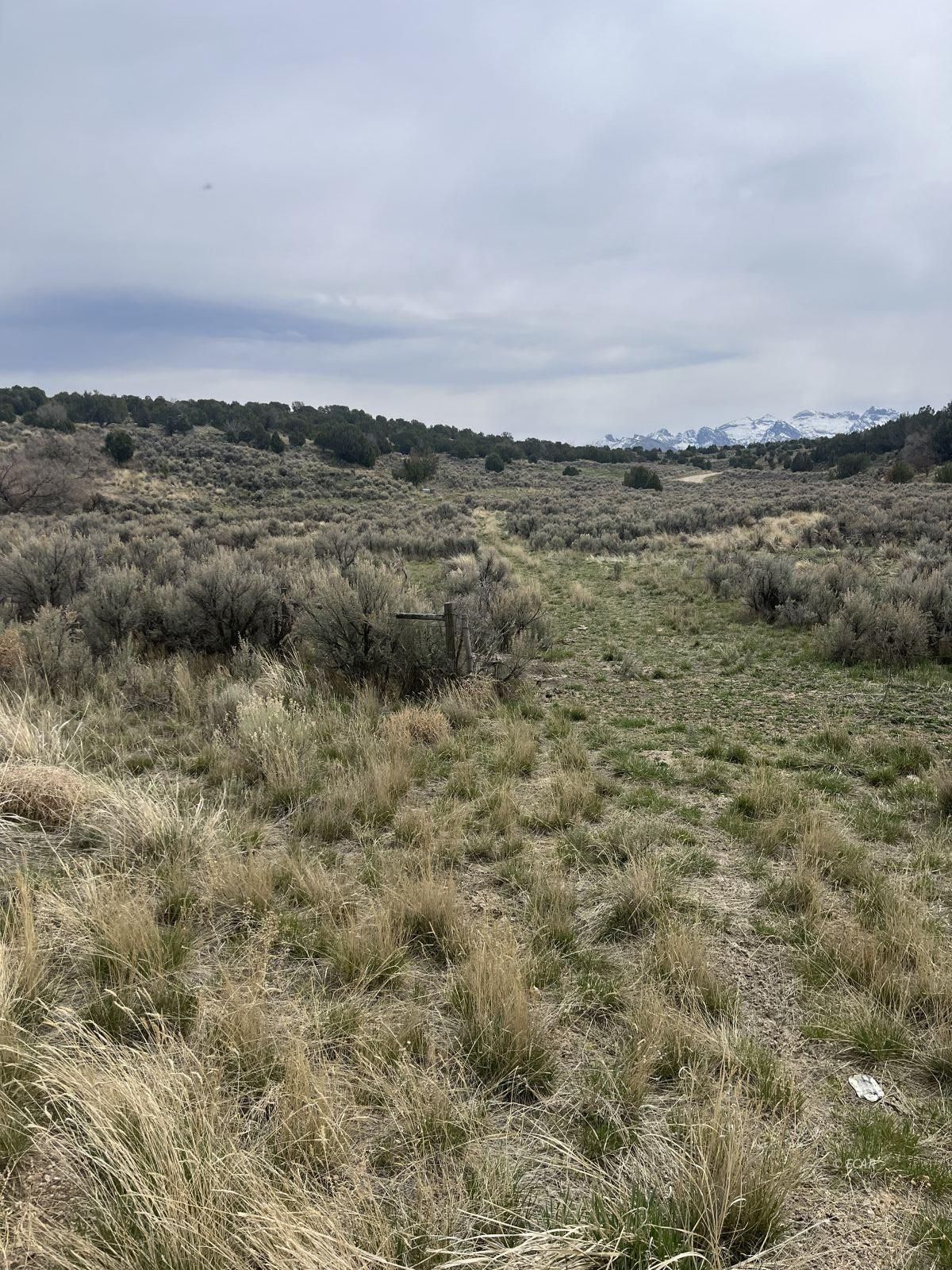 Lower Lamoille/hog Tommy Rd Spring Creek Spring Creek, NV 89815 - Photo 2 of 9