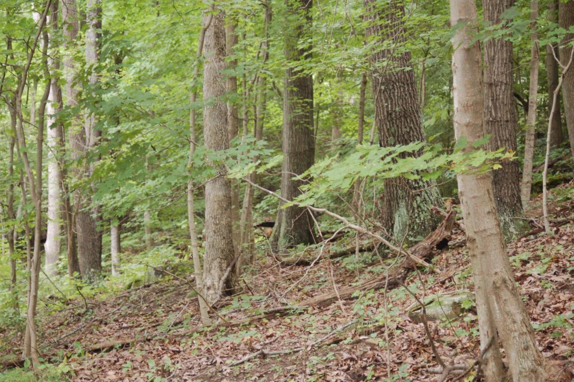 0 Watson Road Chillicothe, OH 45601 - Photo 11 of 12 Gallery Image 11