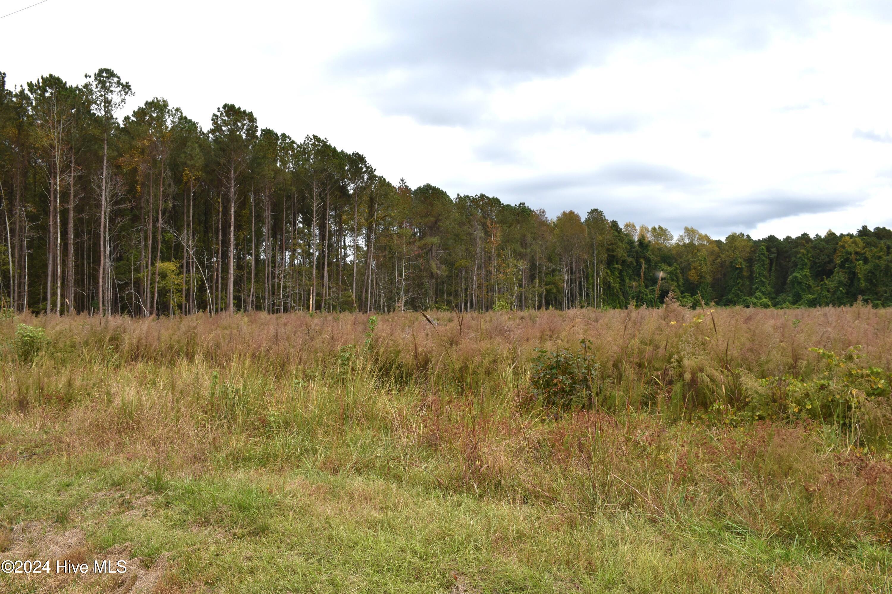 45 Island View Road Bath, NC 27808 - Photo 11 of 16 Lot 45 Island View Rd