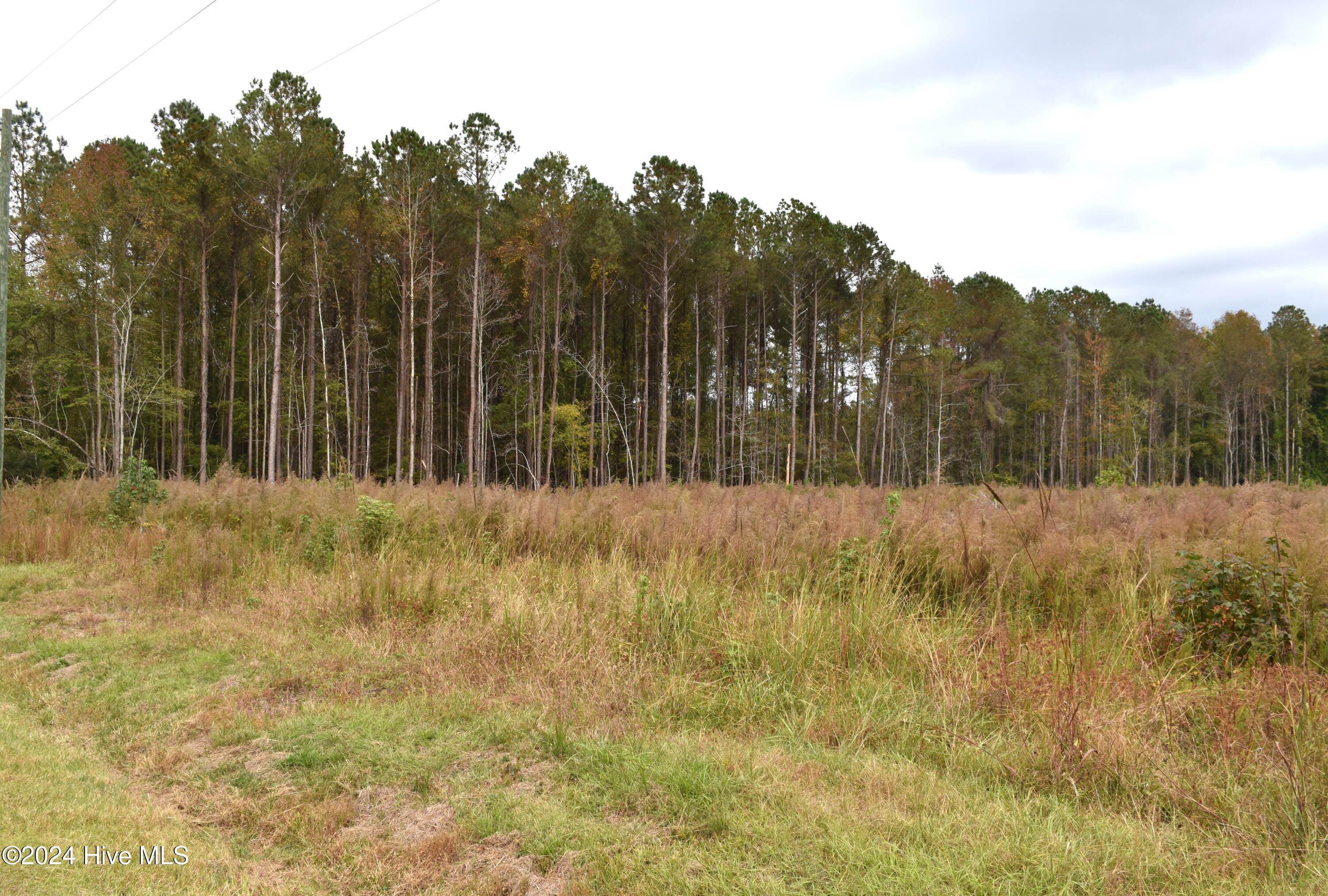 45 Island View Road Bath, NC 27808 - Photo 12 of 16 Lot 45 Island View Rd