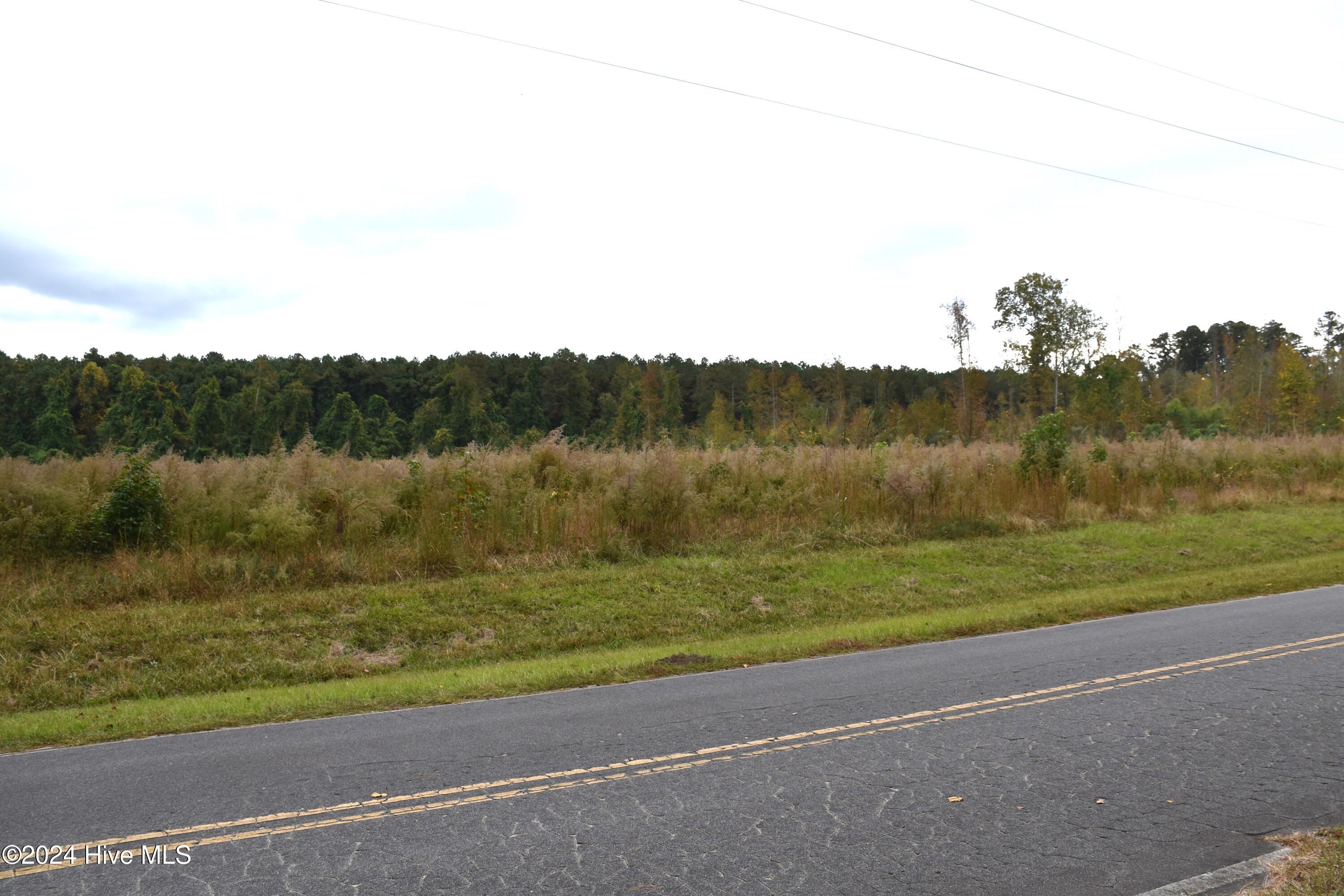 45 Island View Road Bath, NC 27808 - Photo 3 of 16 Lot 45 Island View Rd