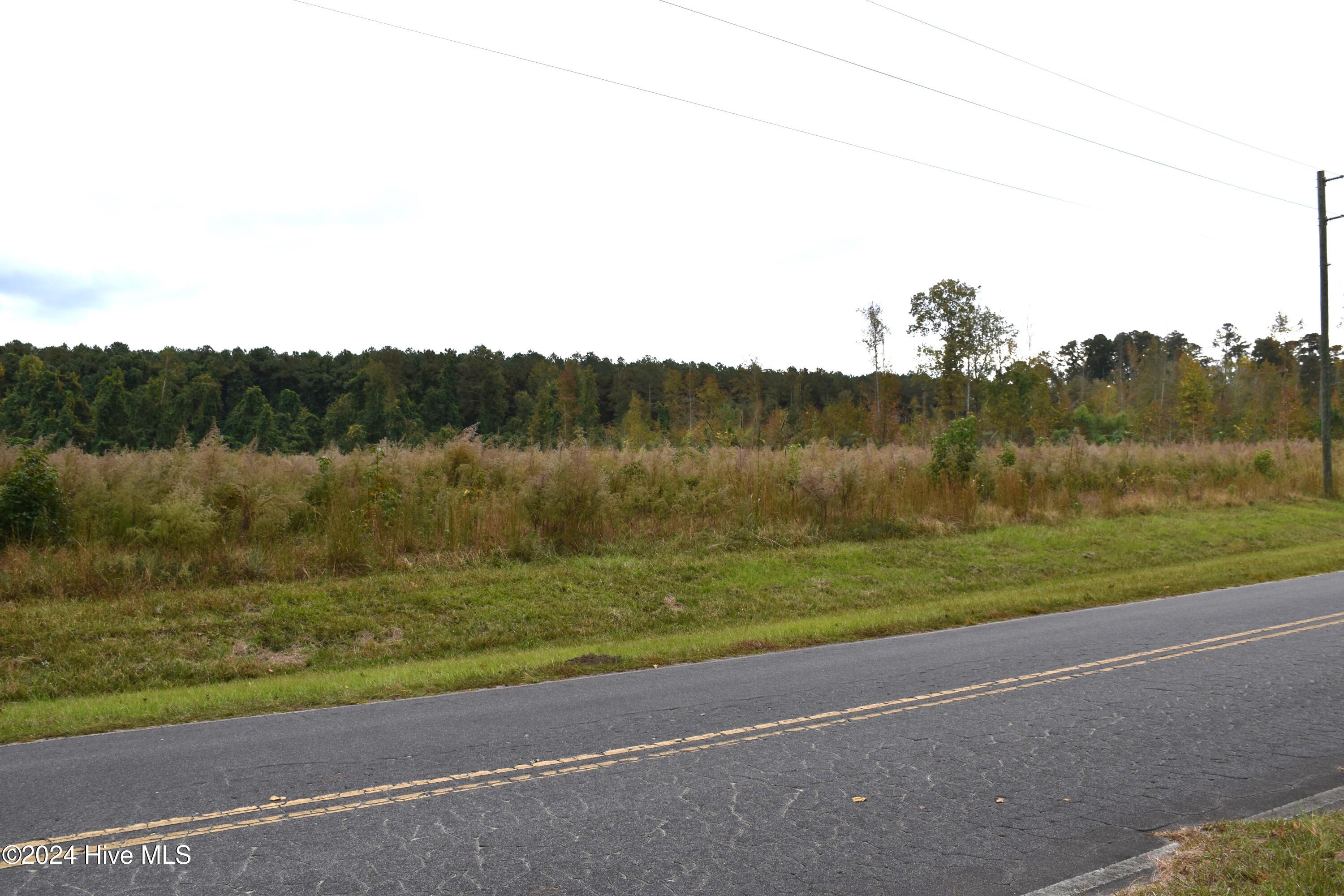 45 Island View Road Bath, NC 27808 - Photo 5 of 16 Lot 45 Island View Rd