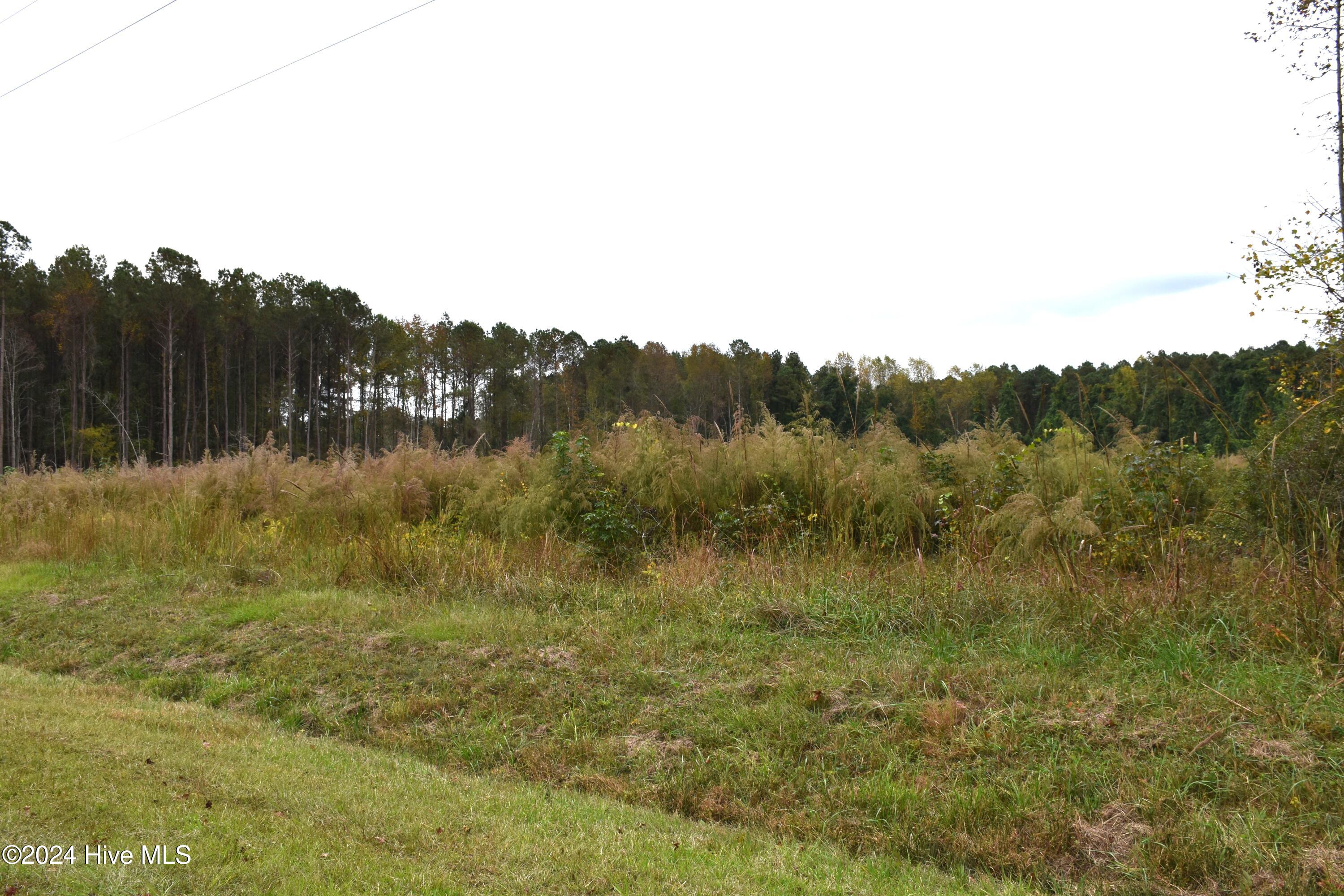 45 Island View Road Bath, NC 27808 - Photo 6 of 16 Lot 45 Island View Rd