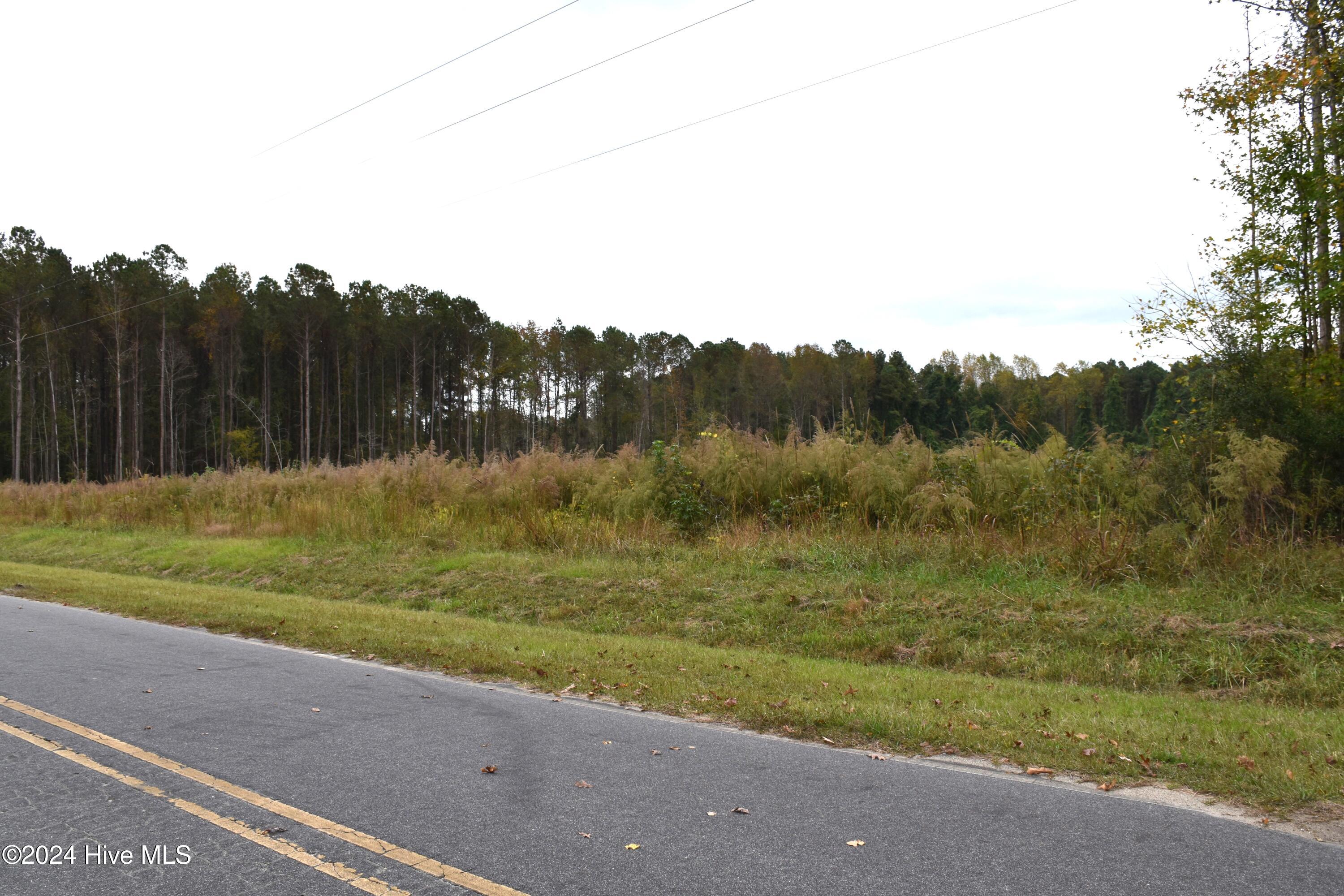 45 Island View Road Bath, NC 27808 - Photo 7 of 16 Lot 45 Island View Rd