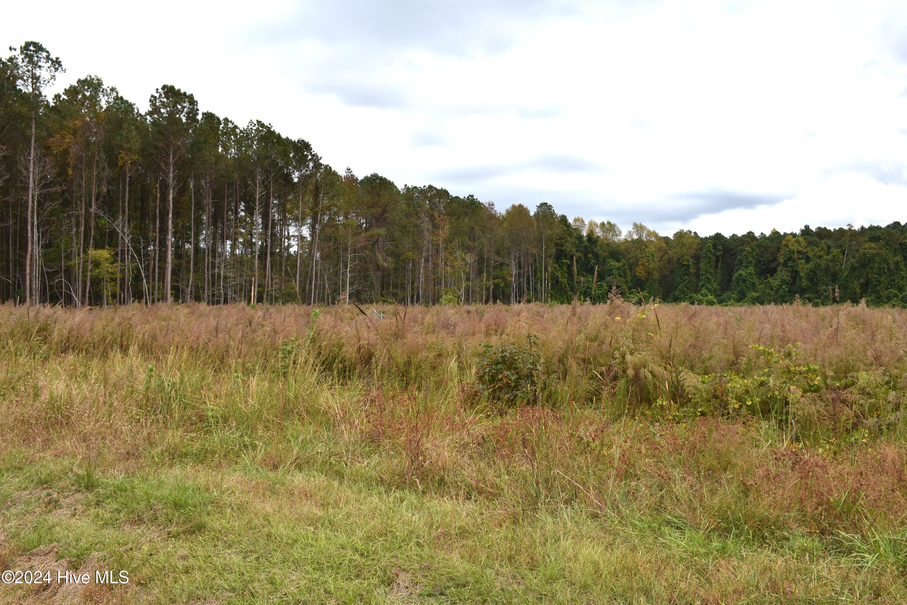 45 Island View Road Bath, NC 27808 - Photo 9 of 16 Lot 45 Island View Rd