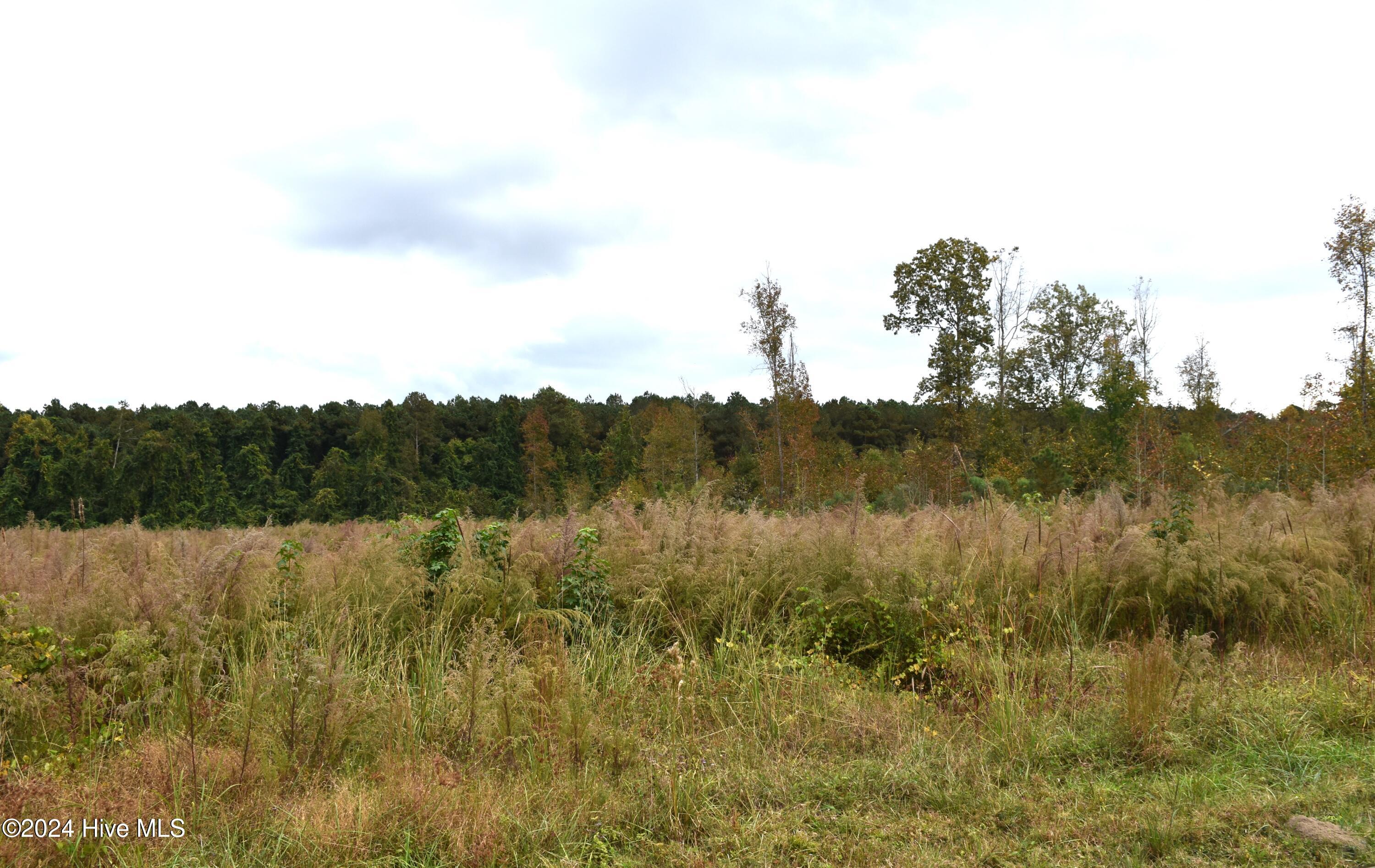 45 Island View Road Bath, NC 27808 - Photo 10 of 16 Lot 45 Island View Rd