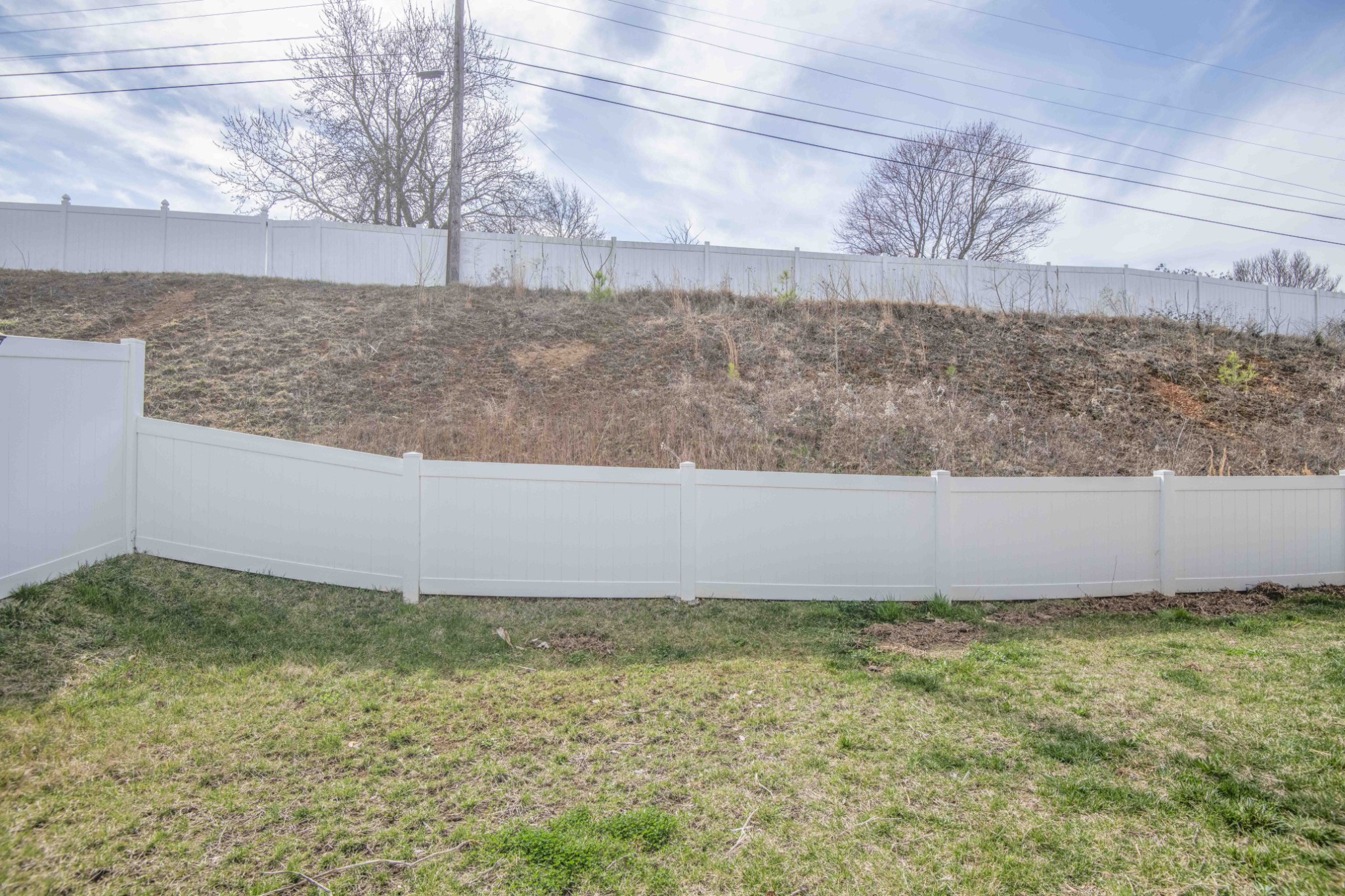 514 Cliff Street Morristown, TN 37814 - Photo 35 of 45 a view of a yard