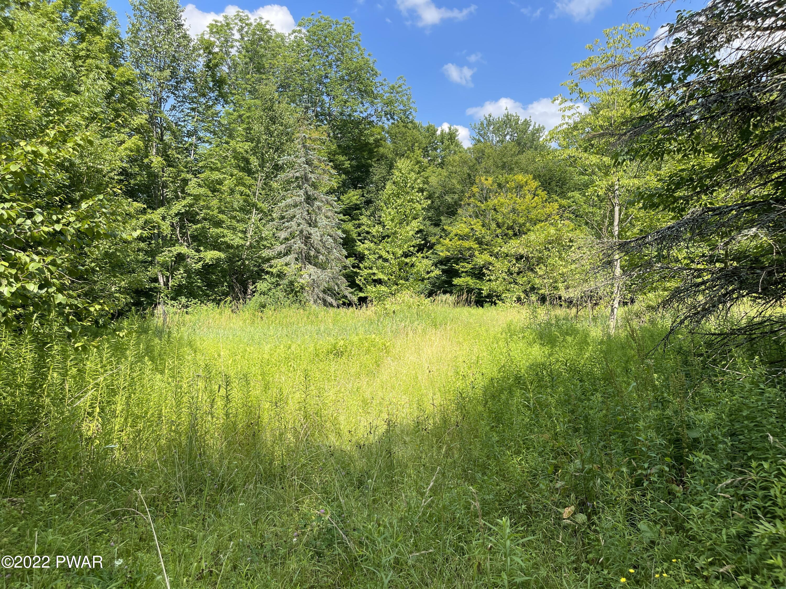 203 Beech Road Equinunk, PA 18417 - Photo 1 of 16