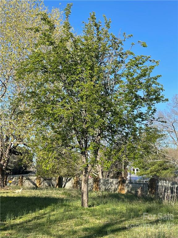 250 Sandifer Road York, SC 29745 - Photo 35 of 43
