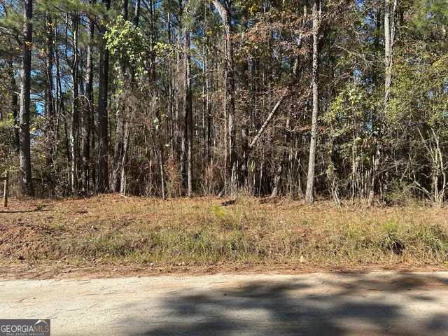 a view of a yard covered in snow