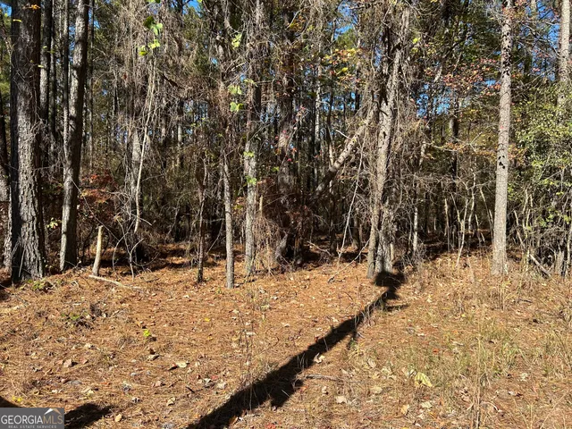 a view of a yard covered in snow
