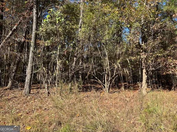a view of wooden space and trees