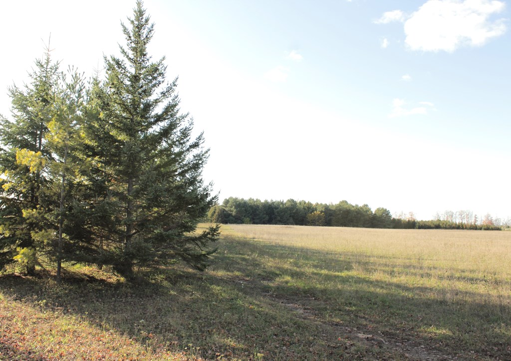 S Lot South Lot County Road Sister Bay, WI 54234 - Photo 12 of 13