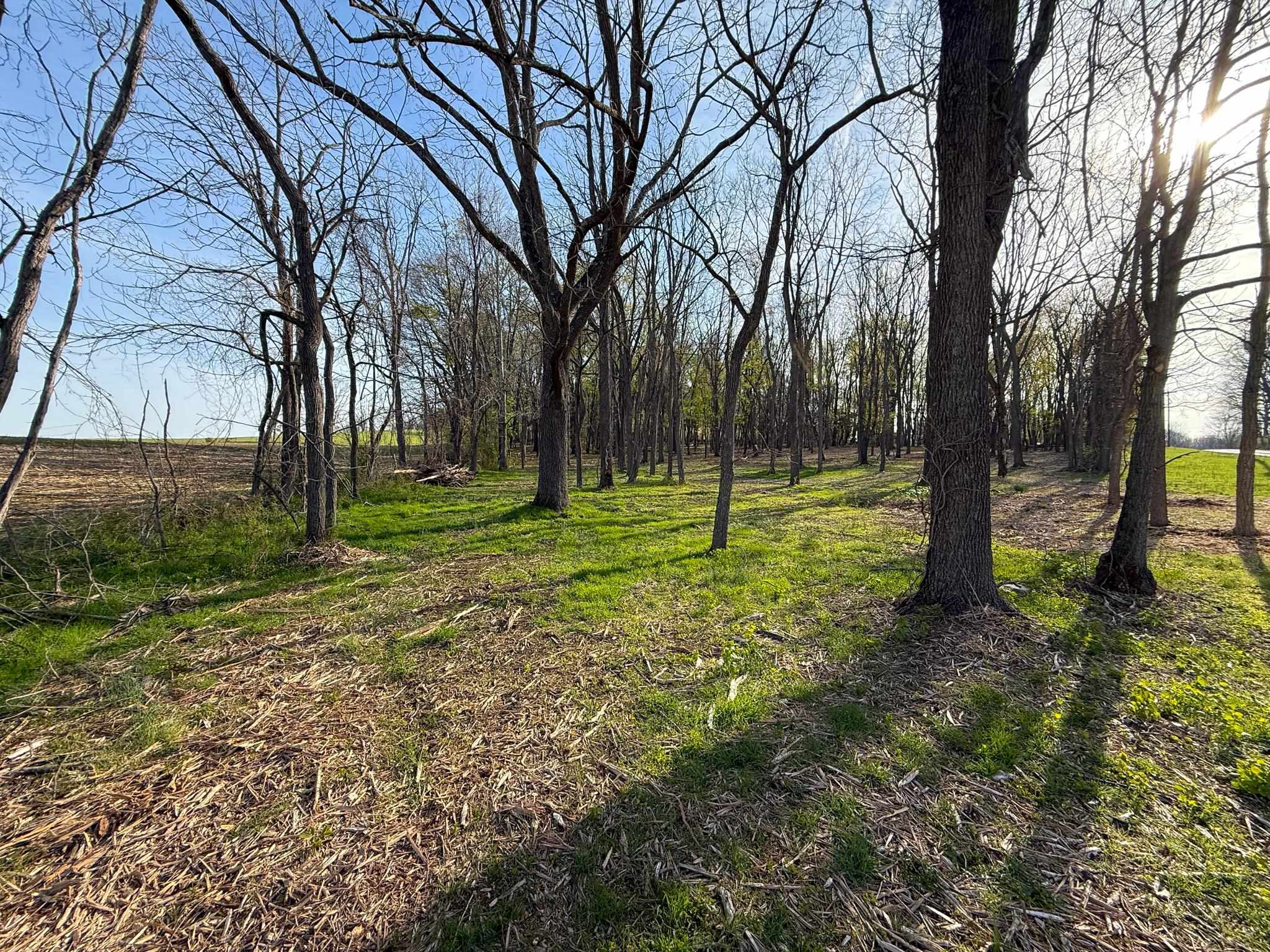 Tbd Broadhead School Road Greenville, VA 24440 - Photo 6 of 10