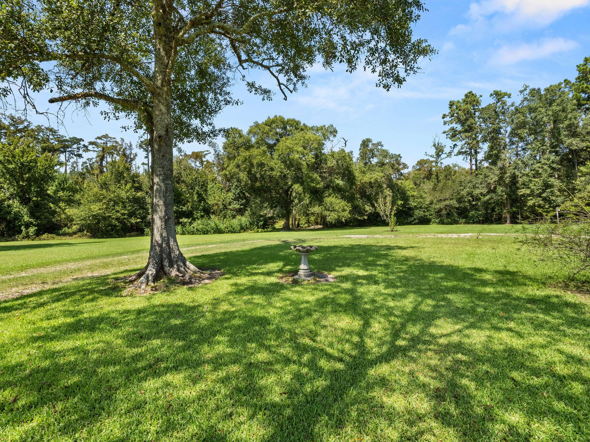 353 West Houston River Road Sulphur, LA 70663 - Photo 13 of 16 Gallery Image 13