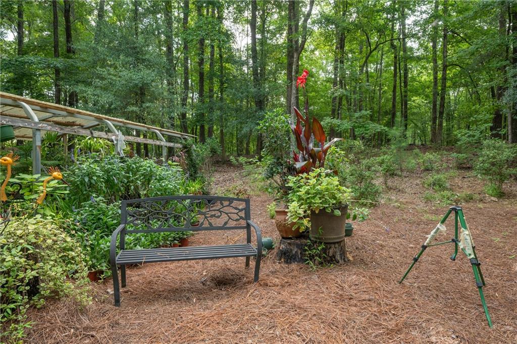285 Dollar Road Hamilton, GA 31811 - Photo 6 of 65 Gallery Image 6