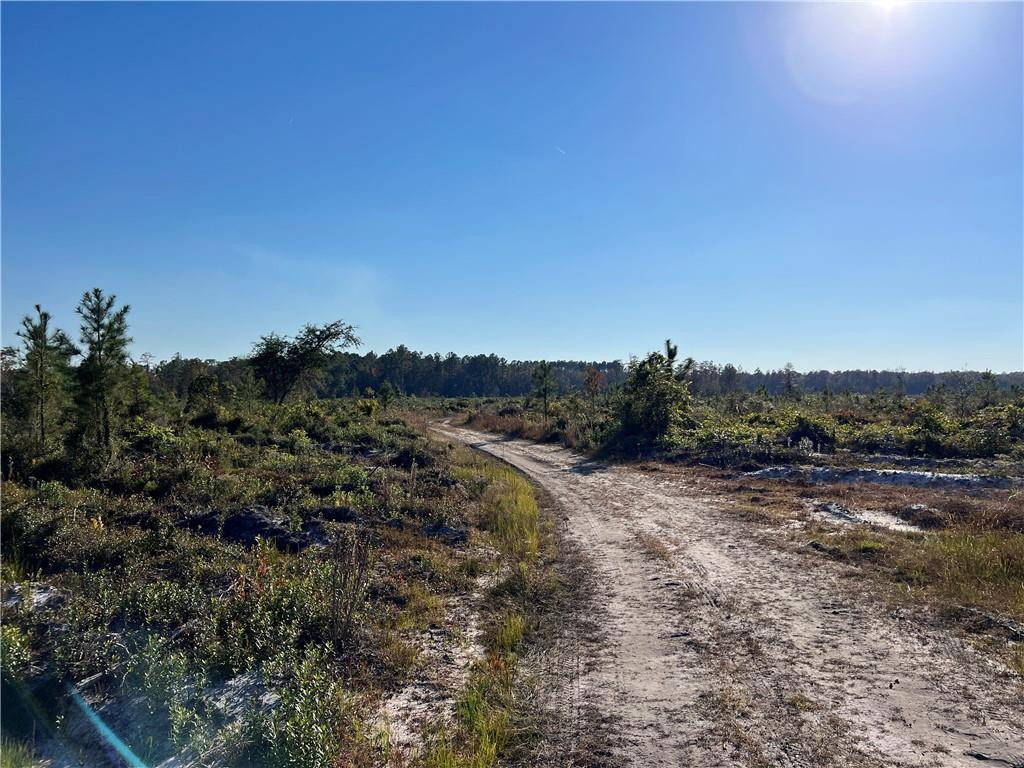 99 Highway 99 Townsend, GA 31331 - Photo 6 of 36