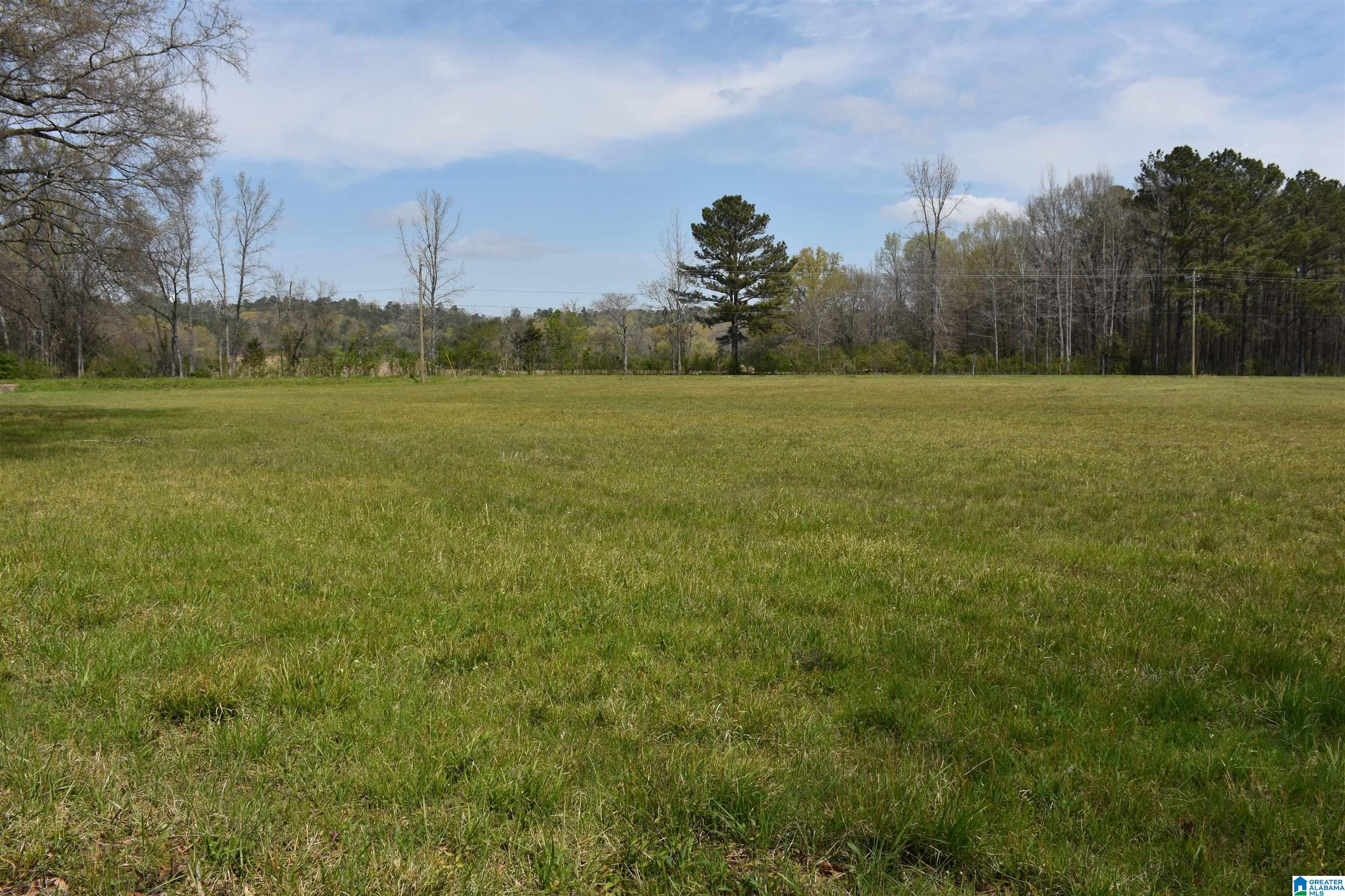 2323 Motes Road Sylacauga, AL 35150 - Photo 3 of 6