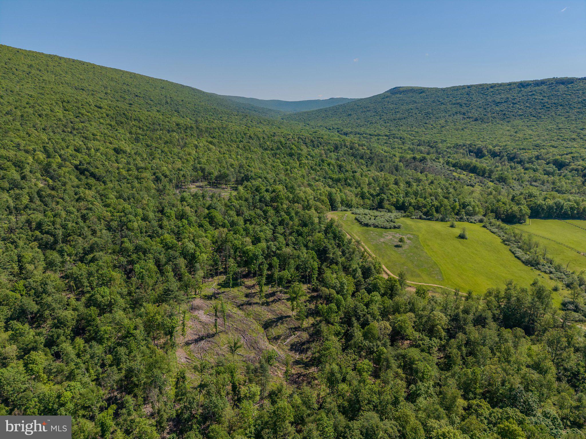 4503 Scotch Valley Road Hollidaysburg, PA 16648 - Photo 32 of 85 a view of a green field with an ocean view
