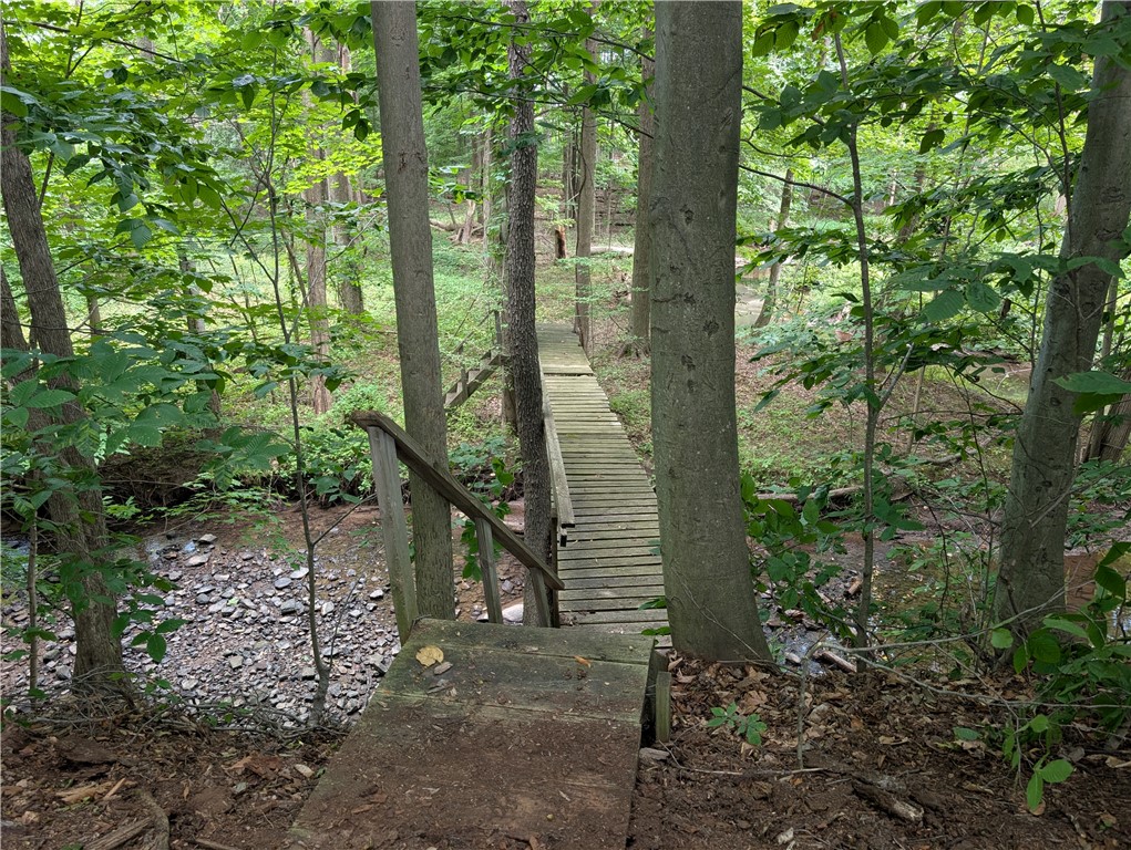 461 Lawrence Road Clarkson, NY 14420 - Photo 10 of 40
