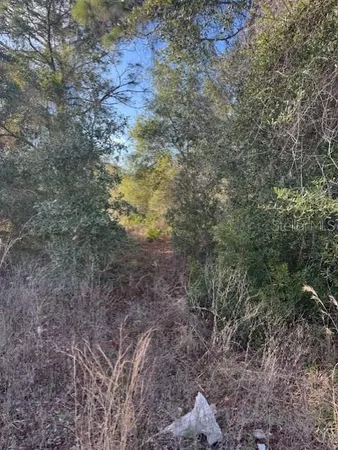 $35,000 | 35361 Kramer Street, Webster, FL 33597