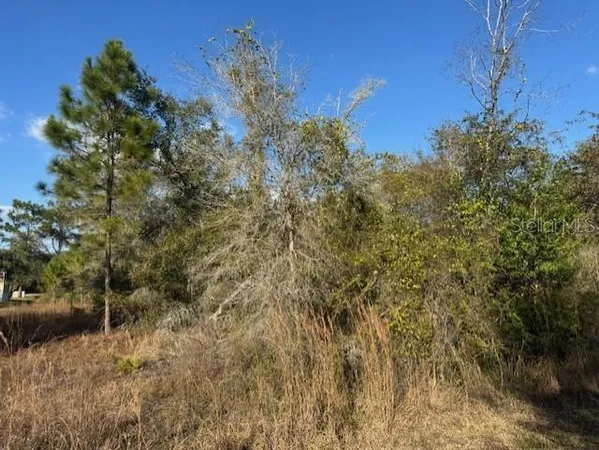 a view of a building