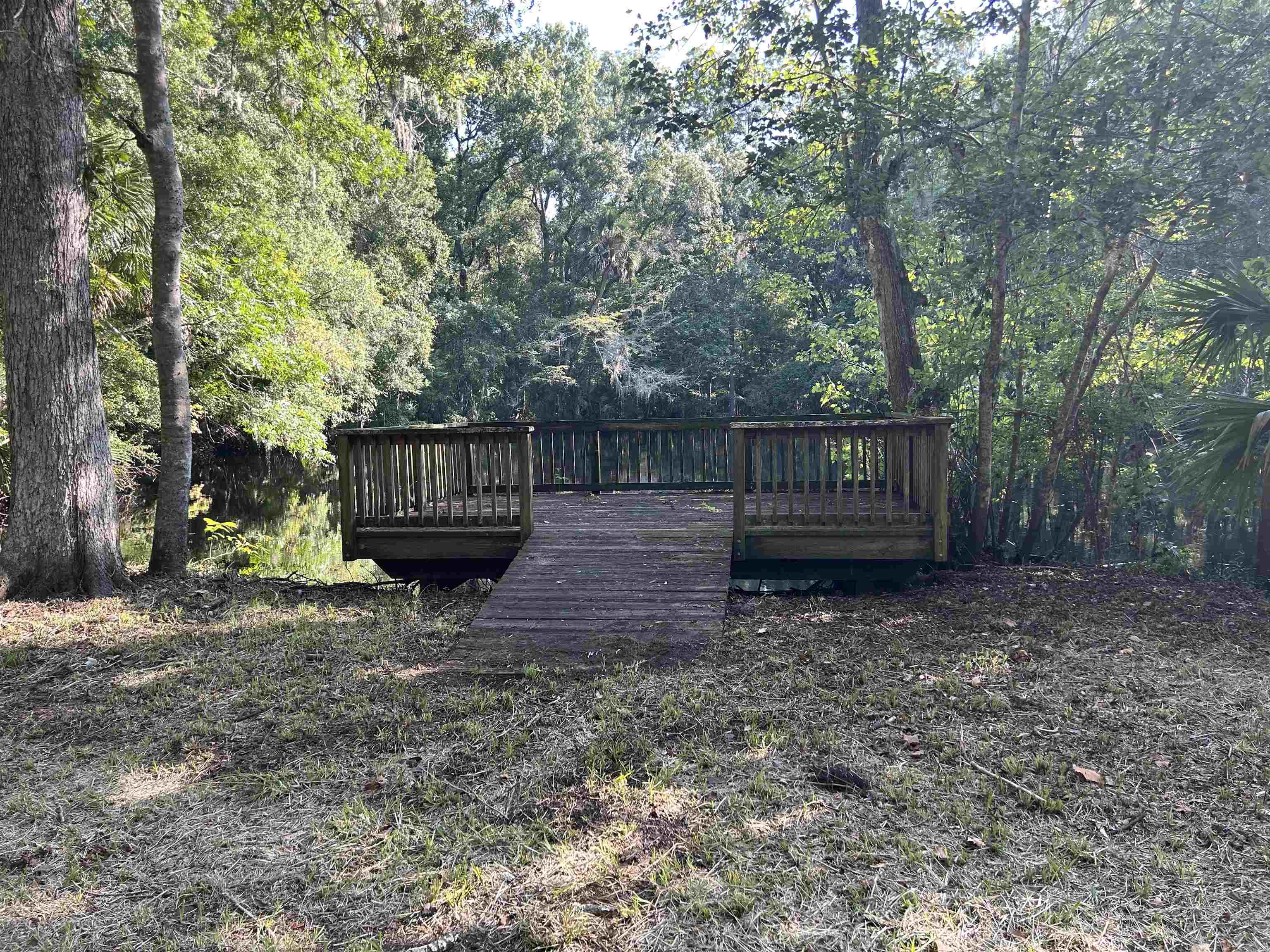 23210 Nutall Rise Road Lamont, FL 32336 - Photo 21 of 23