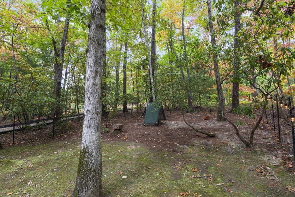 145 Old Turnpike Road Mountain Rest, SC 29664 - Photo 35 of 43 Gallery Image 35