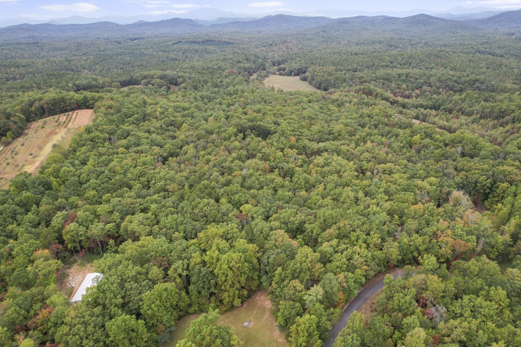 145 Old Turnpike Road Mountain Rest, SC 29664 - Photo 36 of 43 Gallery Image 36