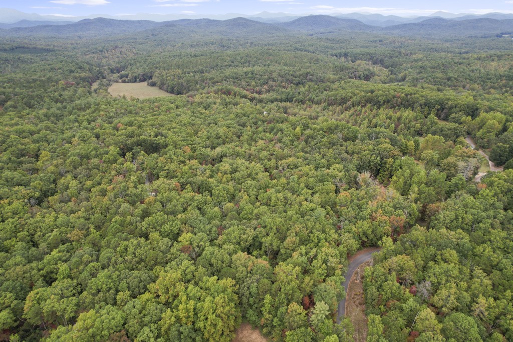 145 Old Turnpike Road Mountain Rest, SC 29664 - Photo 38 of 43 Gallery Image 38