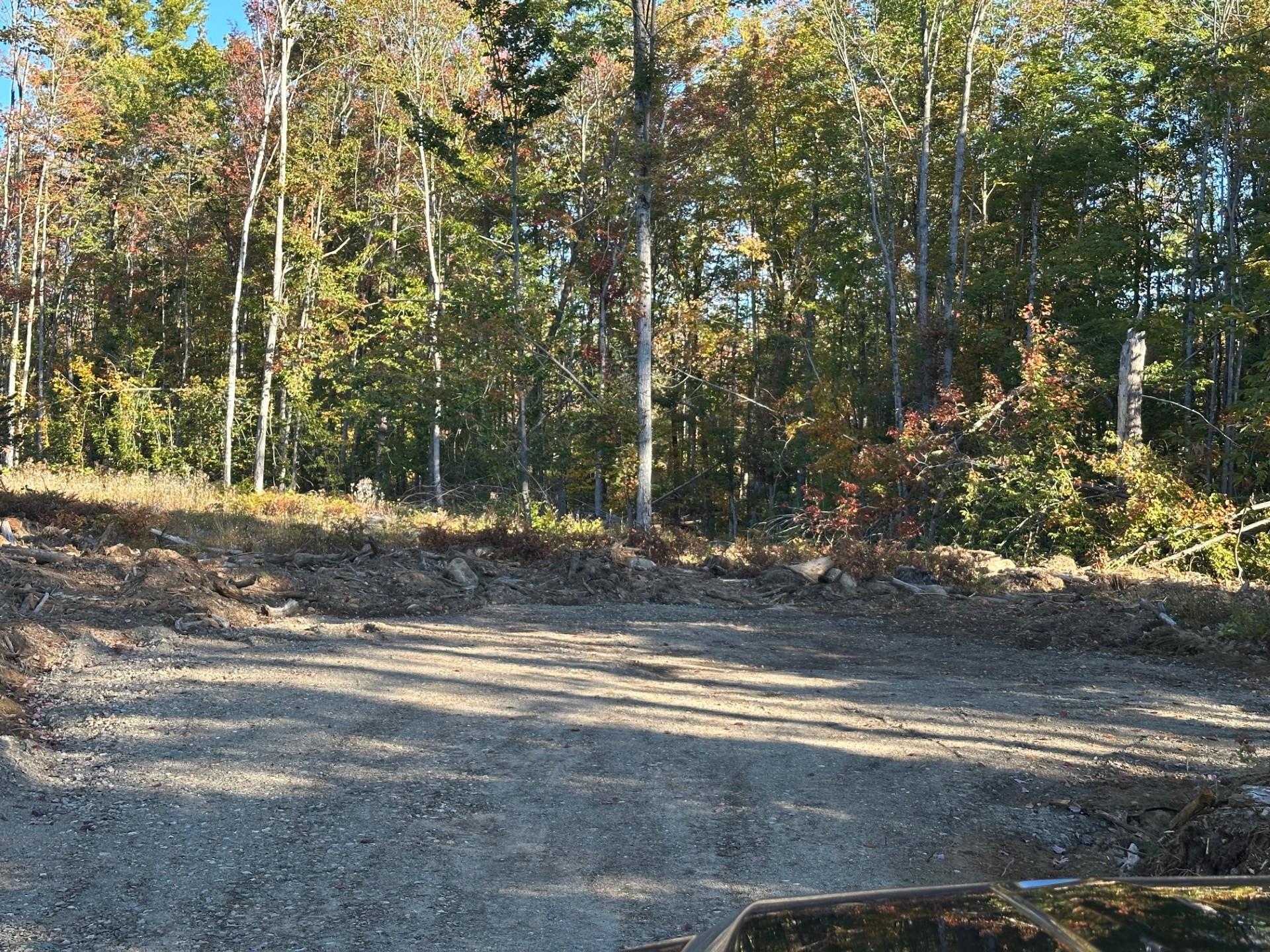 0 Pinkham Road, Unit 119 Middleton, NH 03887 - Photo 3 of 5 Gallery Image 3