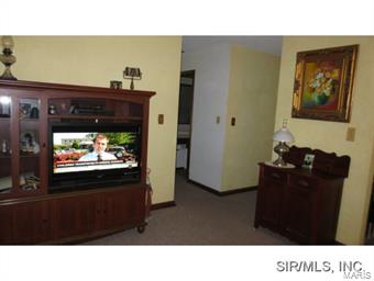 624 Pinckneyville Road Marissa, IL 62257 - Photo 8 of 24