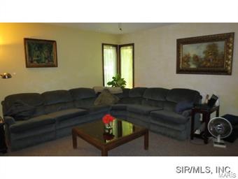 624 Pinckneyville Road Marissa, IL 62257 - Photo 9 of 24