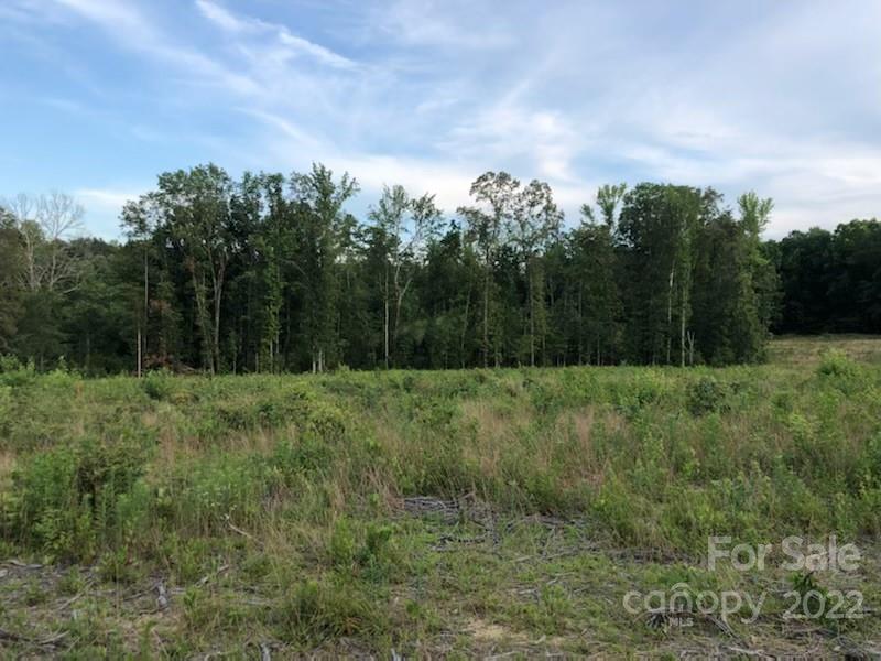 4179 Cannery Road Lancaster, SC 29720 - Photo 7 of 13 a view of a yard with a tree