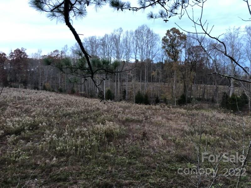 4179 Cannery Road Lancaster, SC 29720 - Photo 8 of 13 a backyard of a house with lots of green space