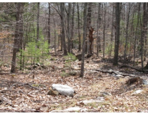 Lot 8 Old Westminster Road Hubbardston, MA 01452 - Photo 1 of 1 Gallery Image 1