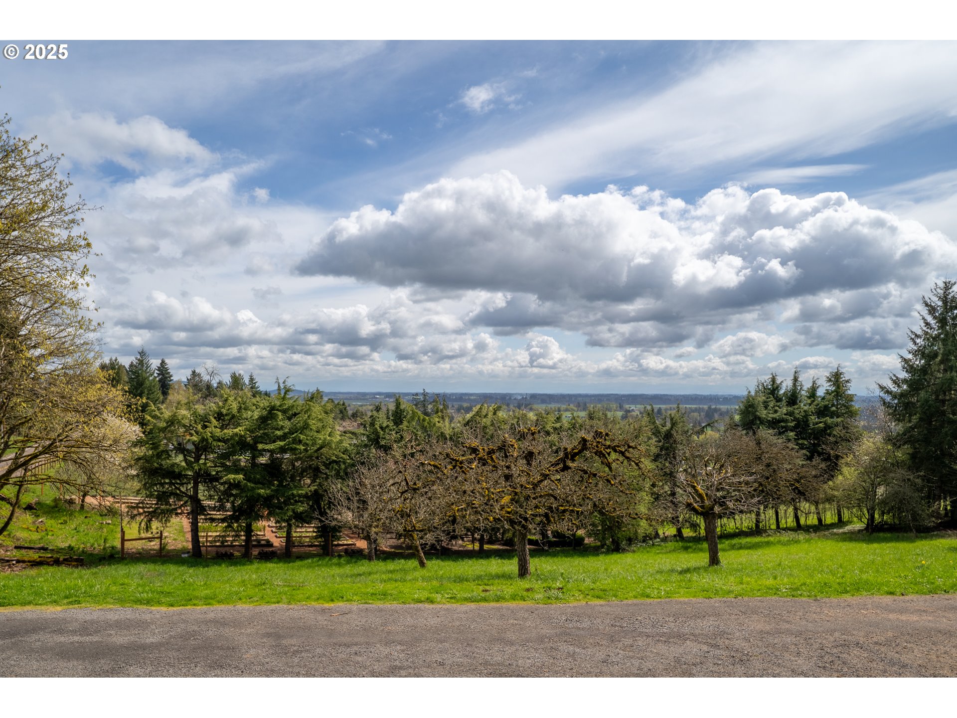 8331 Northeast Worden Hill Road Dundee, OR 97115 - Photo 11 of 48 a view of a volley ball court