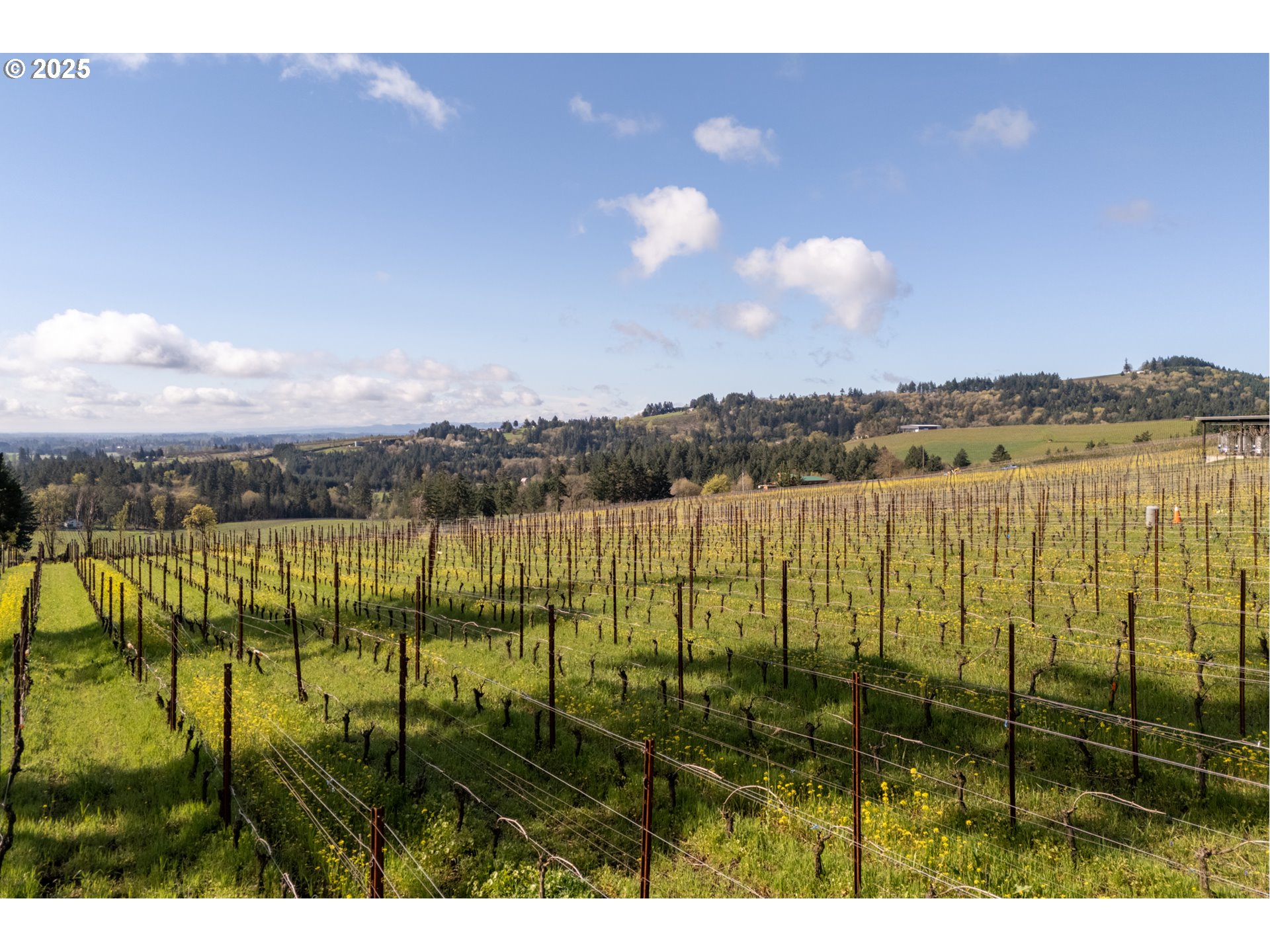 8331 Northeast Worden Hill Road Dundee, OR 97115 - Photo 24 of 48 a view of lake view and mountain view