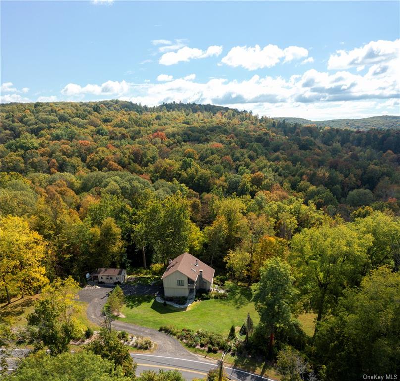 206 Quaker Hill Road Pawling, NY 12564 - Photo 10 of 36 Aerial view