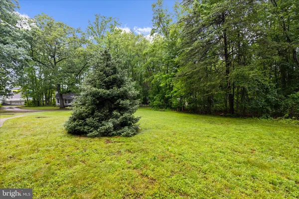 a view of outdoor space and yard