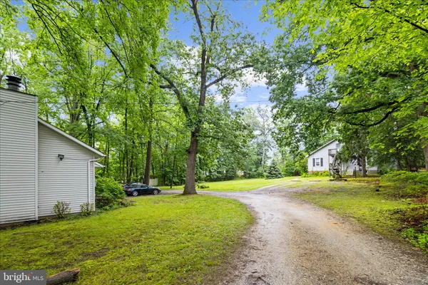 a view of a backyard with large trees